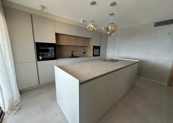 Exceptionnel Vue 阿雅克肖